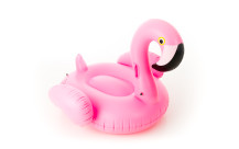Pink flamingo DIDAK-1